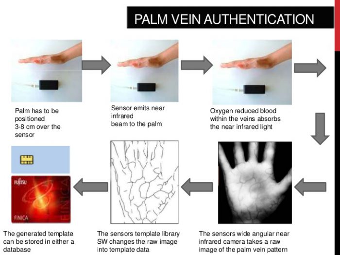 Will Palm Vein Patterns the New Identification? Different Truths