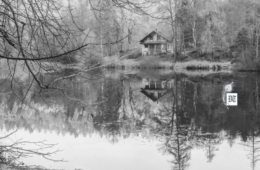 Spotlight Winter: Bare Trees and a Forsaken Cottage