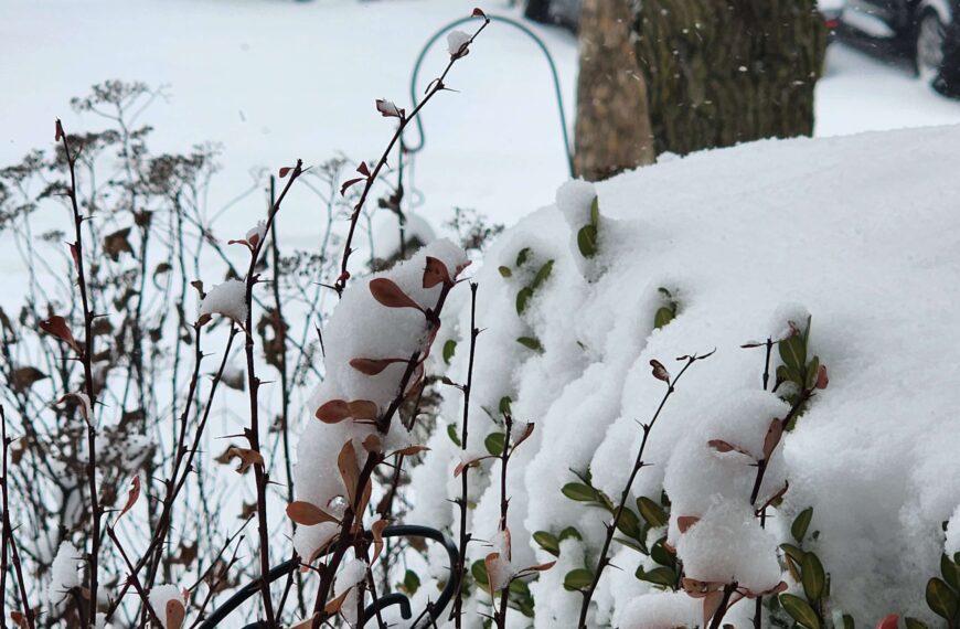 Winter: A Forsaken Journey to a Lonely Landscape